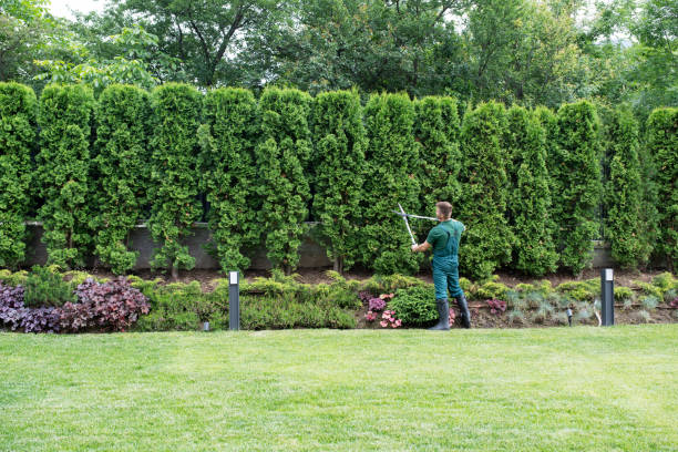 Lawn Pest Prevention in Pittsfield, MA